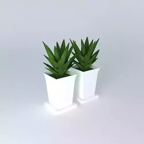 vaso vase planta plant potted plant