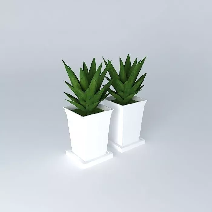 vaso vase planta plant potted plant Free 3D model