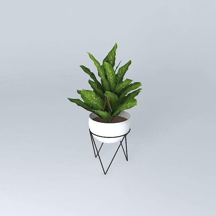 West Elm Iris Planter and Chevron Stand Free 3D model_2
