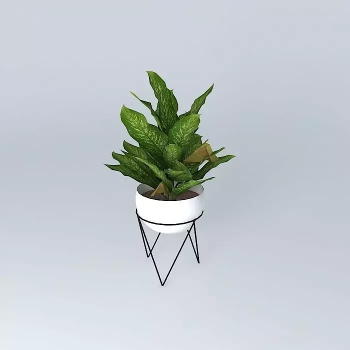 West Elm Iris Planter and Chevron Stand Free 3D model_0