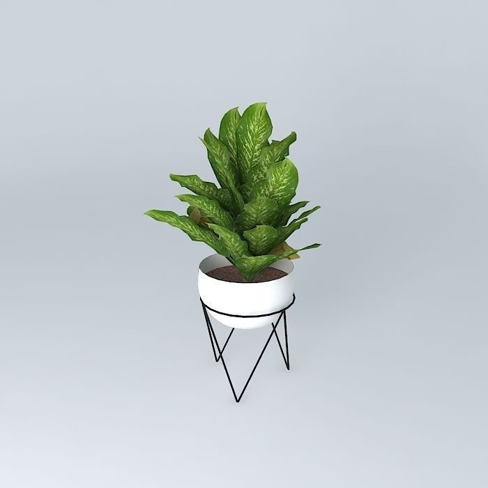 West Elm Iris Planter and Chevron Stand Free 3D model_1
