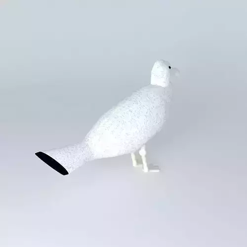 ARGO seagull sitting