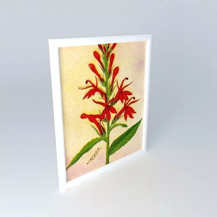 quadro picture Free 3D model_0