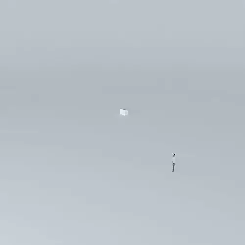 nataliorkut bird in sky on foggy day