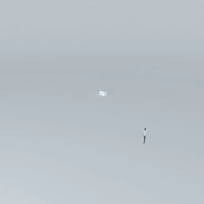 nataliorkut bird in sky on foggy day Free 3D model_0