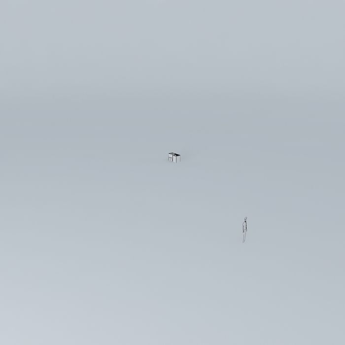 nataliorkut bird in sky on foggy day Free 3D model_3