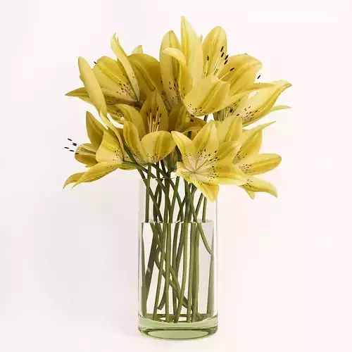Yellow lilies 