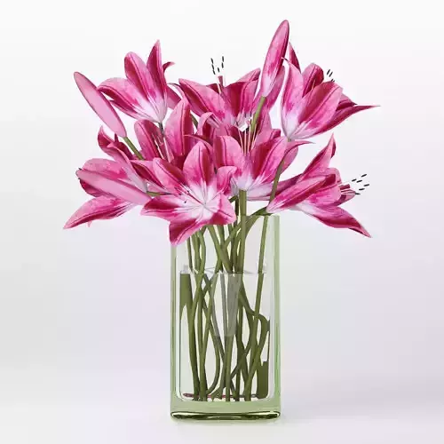 Pink lilies