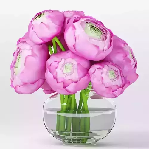 Bouquet of pink ranunculuses