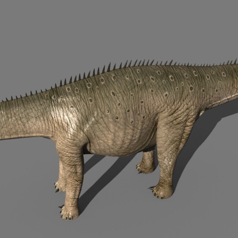 Real Life Diplodocus Dinosaur - Animated 3d model 3D model_9