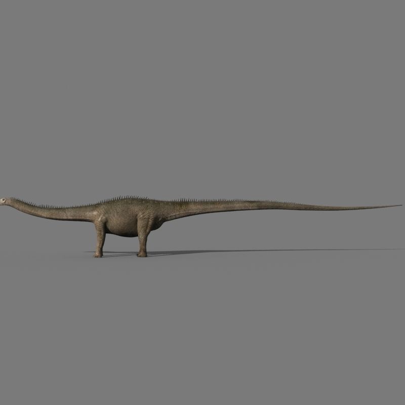 Real Life Diplodocus Dinosaur - Animated 3d model 3D model_17