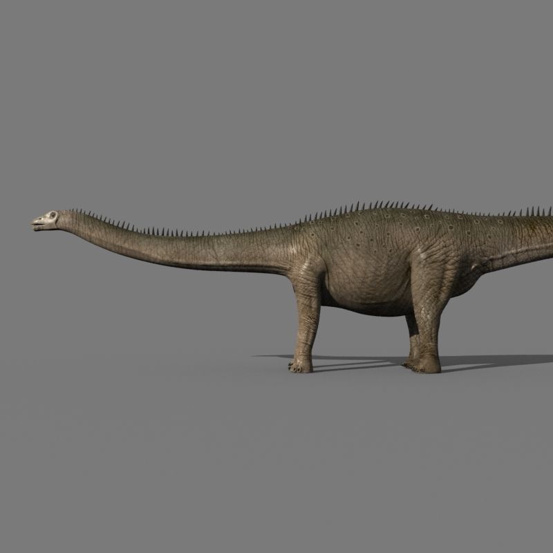 Real Life Diplodocus Dinosaur - Animated 3d model 3D model_16