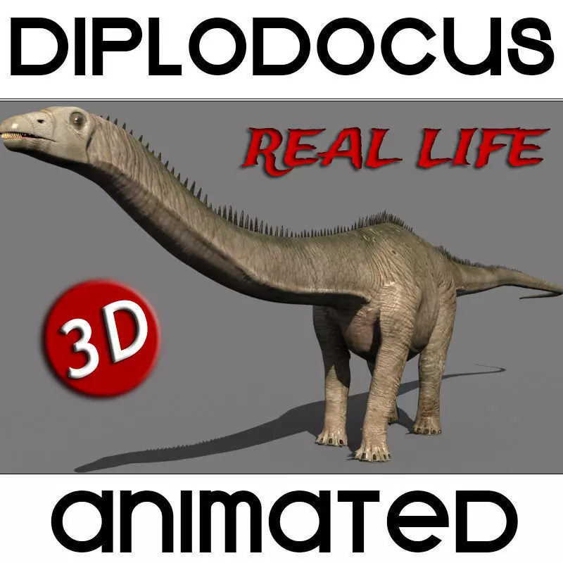 Real Life Diplodocus Dinosaur - Animated 3d model 3D model_0