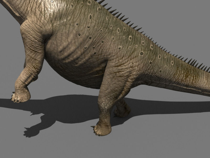 Real Life Diplodocus Dinosaur - Animated 3d model 3D model_22