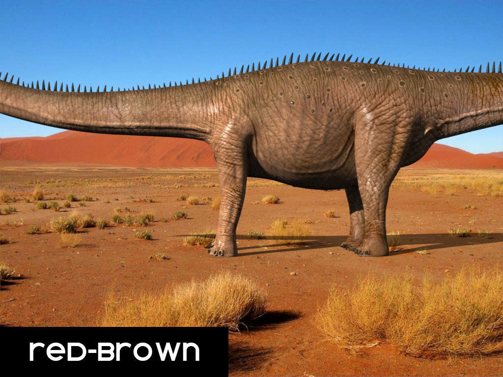 Real Life Diplodocus Dinosaur - Animated 3d model 3D model_7