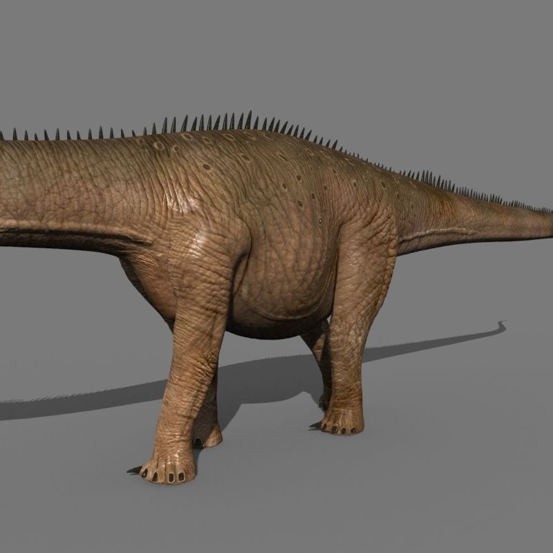 Real Life Diplodocus Dinosaur - Animated 3d model 3D model_13