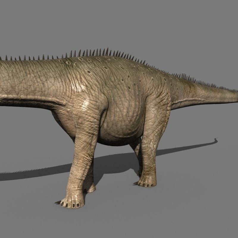 Real Life Diplodocus Dinosaur - Animated 3d model 3D model_12