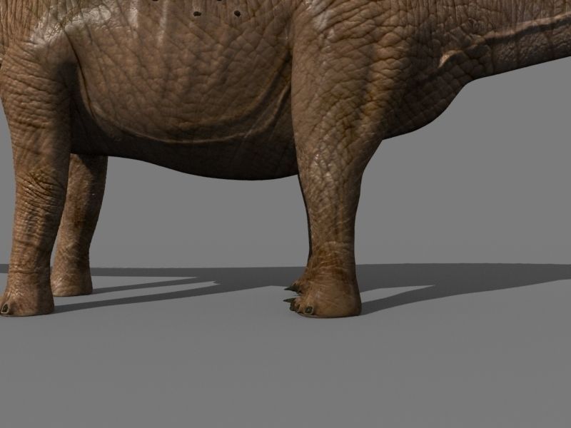 Real Life Diplodocus Dinosaur - Animated 3d model 3D model_20