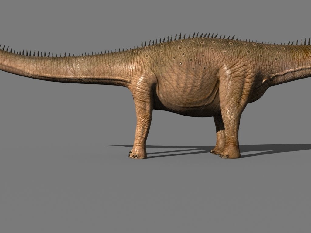 Real Life Diplodocus Dinosaur - Animated 3d model 3D model_5