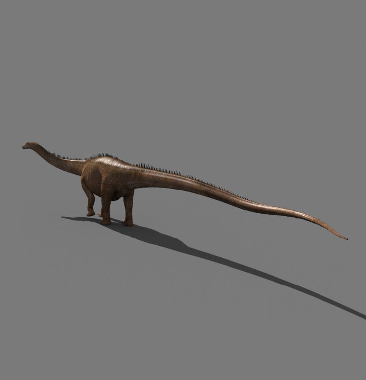 Real Life Diplodocus Dinosaur - Animated 3d model 3D model_19