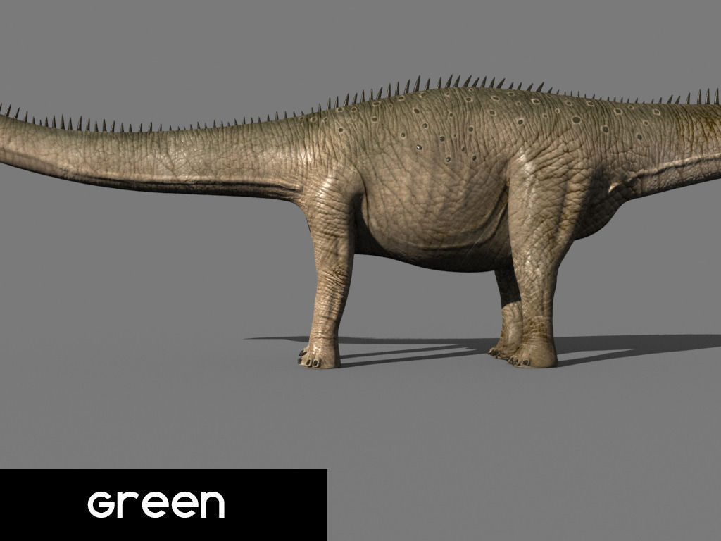 Real Life Diplodocus Dinosaur - Animated 3d model 3D model_8