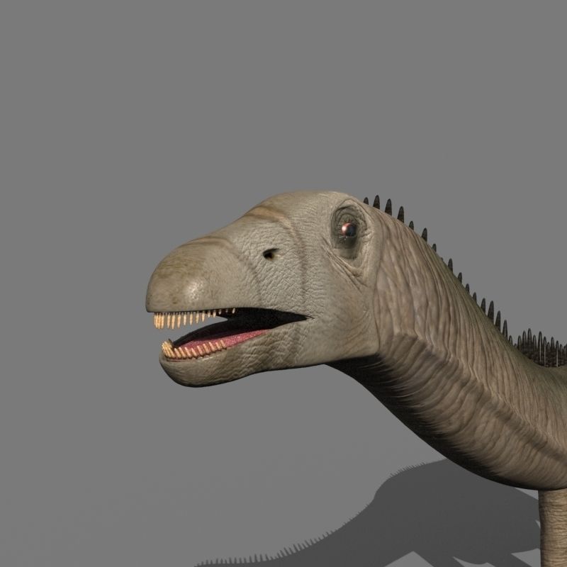 Real Life Diplodocus Dinosaur - Animated 3d model 3D model_18