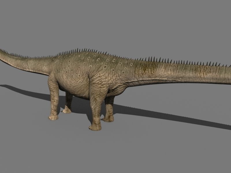 Real Life Diplodocus Dinosaur - Animated 3d model 3D model_24
