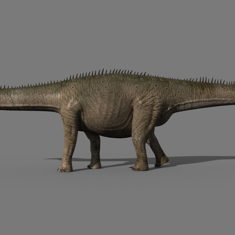 Real Life Diplodocus Dinosaur - Animated 3d model 3D model_15