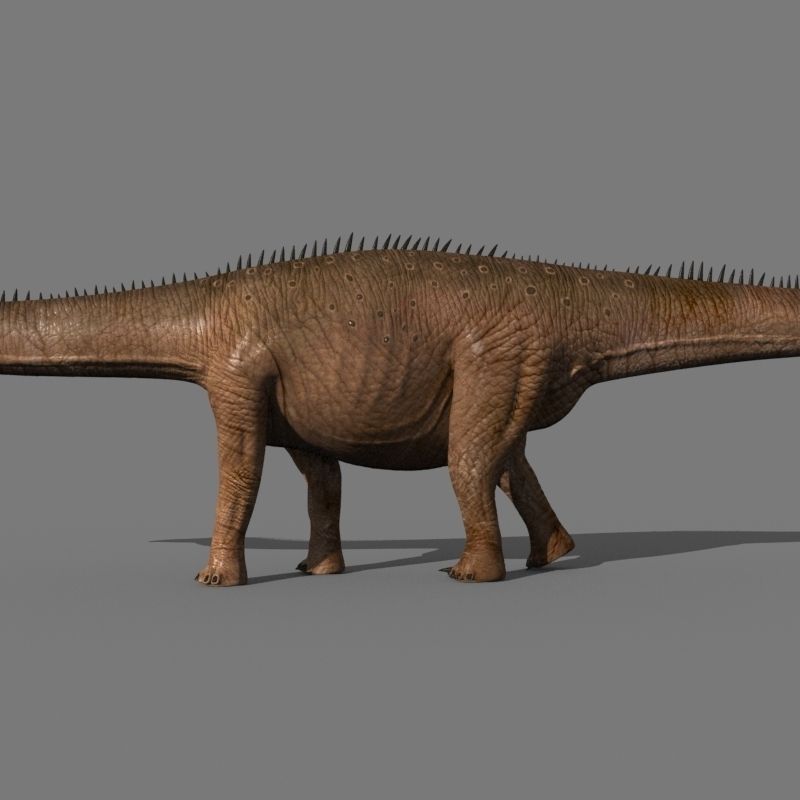 Real Life Diplodocus Dinosaur - Animated 3d model 3D model_14