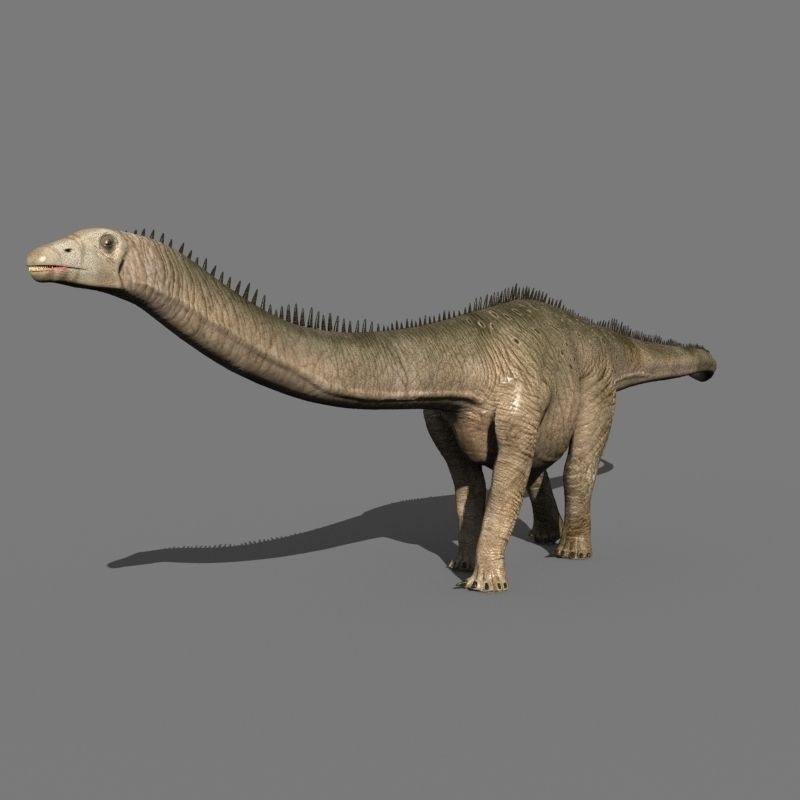 Real Life Diplodocus Dinosaur - Animated 3d model 3D model_11