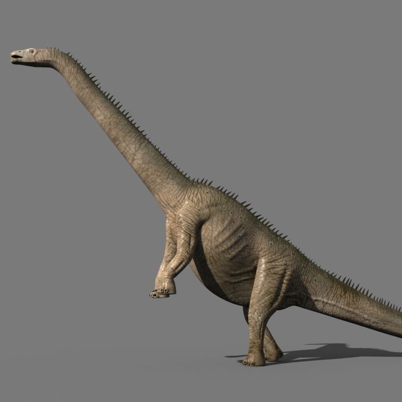 Real Life Diplodocus Dinosaur - Animated 3d model 3D model_21