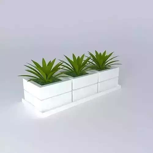 plant plant glass vase Free 3D model