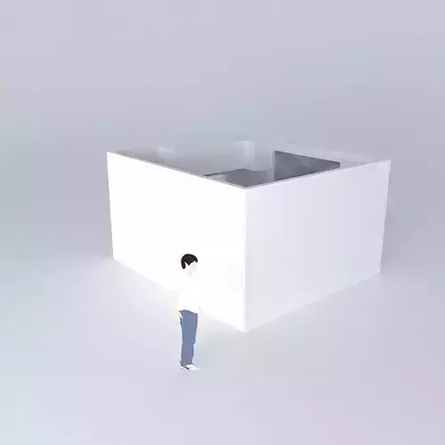 andressa cube with person in it