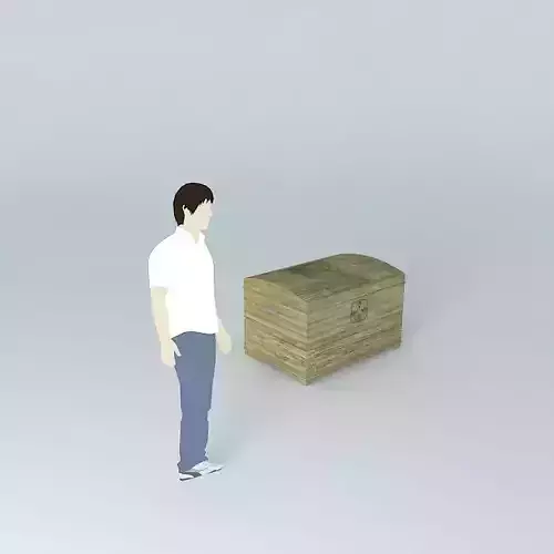 tray chest bau bandeja