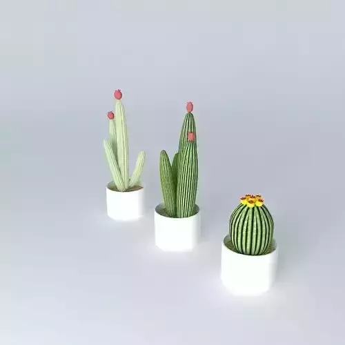 decorations plants plant