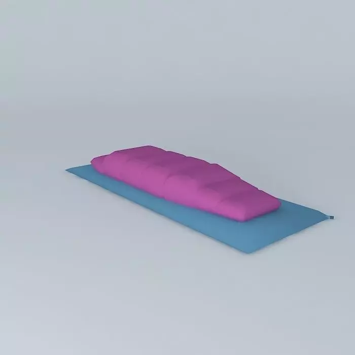 sleeping bag on air mattress 3D model