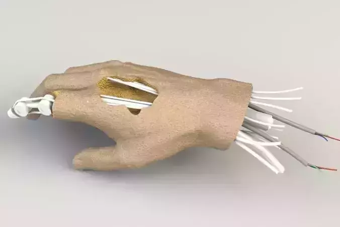 Robotic Hand Free 3D model