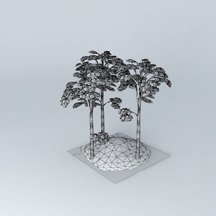 european Breech Fagus sylvatica 3D model_4