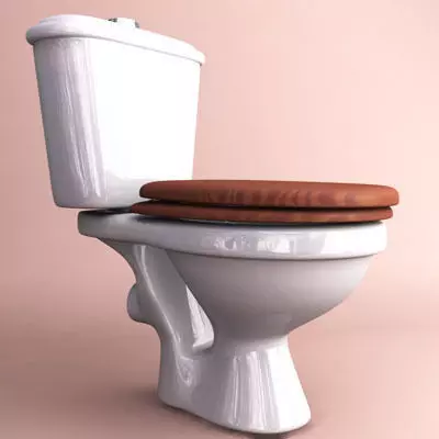 Toilet with seat 3D model_0