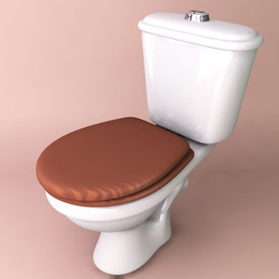 Toilet with seat 3D model_3