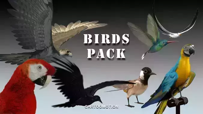 Animated Birds Low-poly 3D model