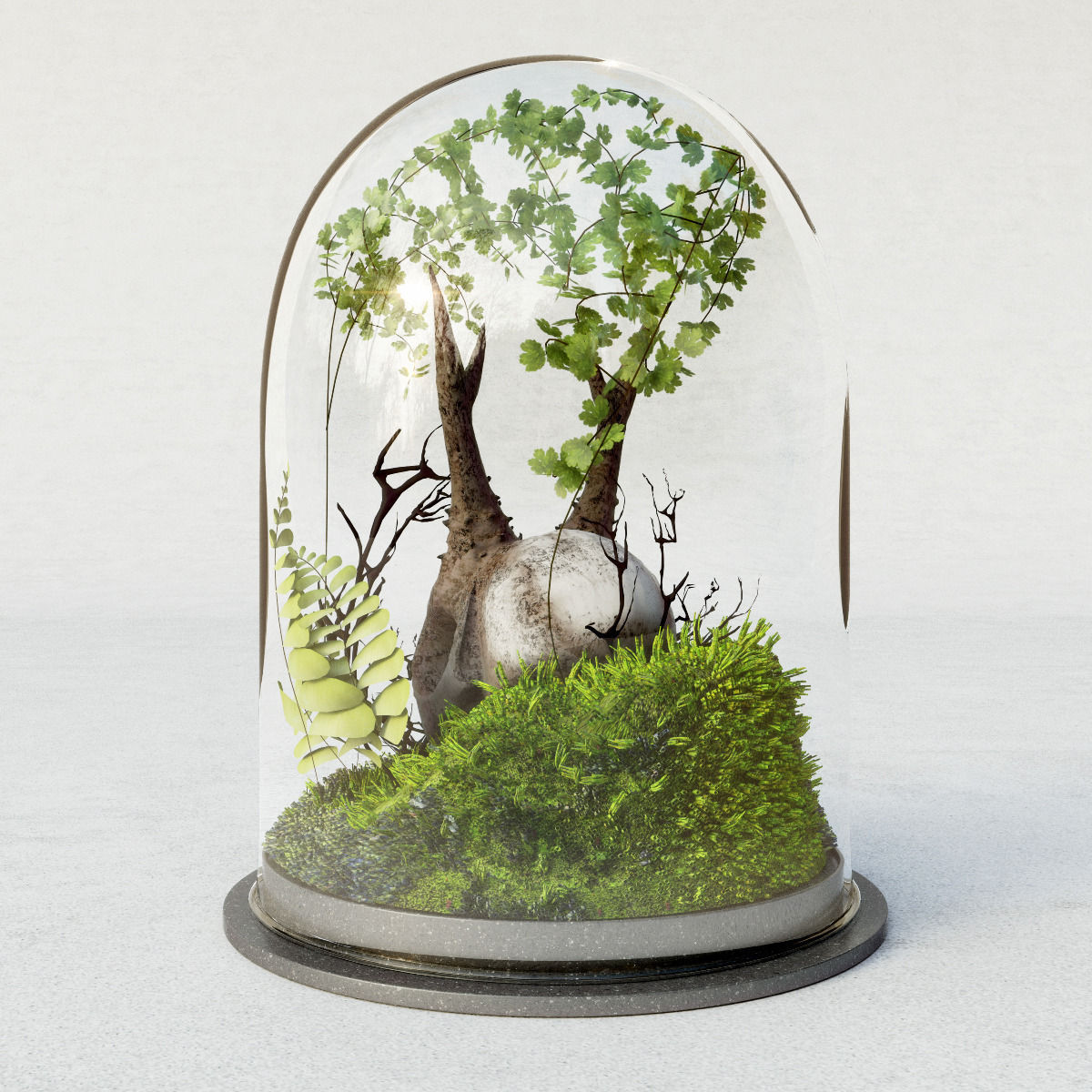 Skull in Flask 3D model_2