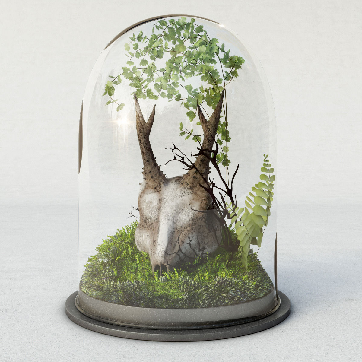 Skull in Flask 3D model_1