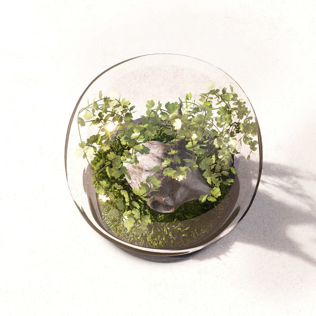 Skull in Flask 3D model_3