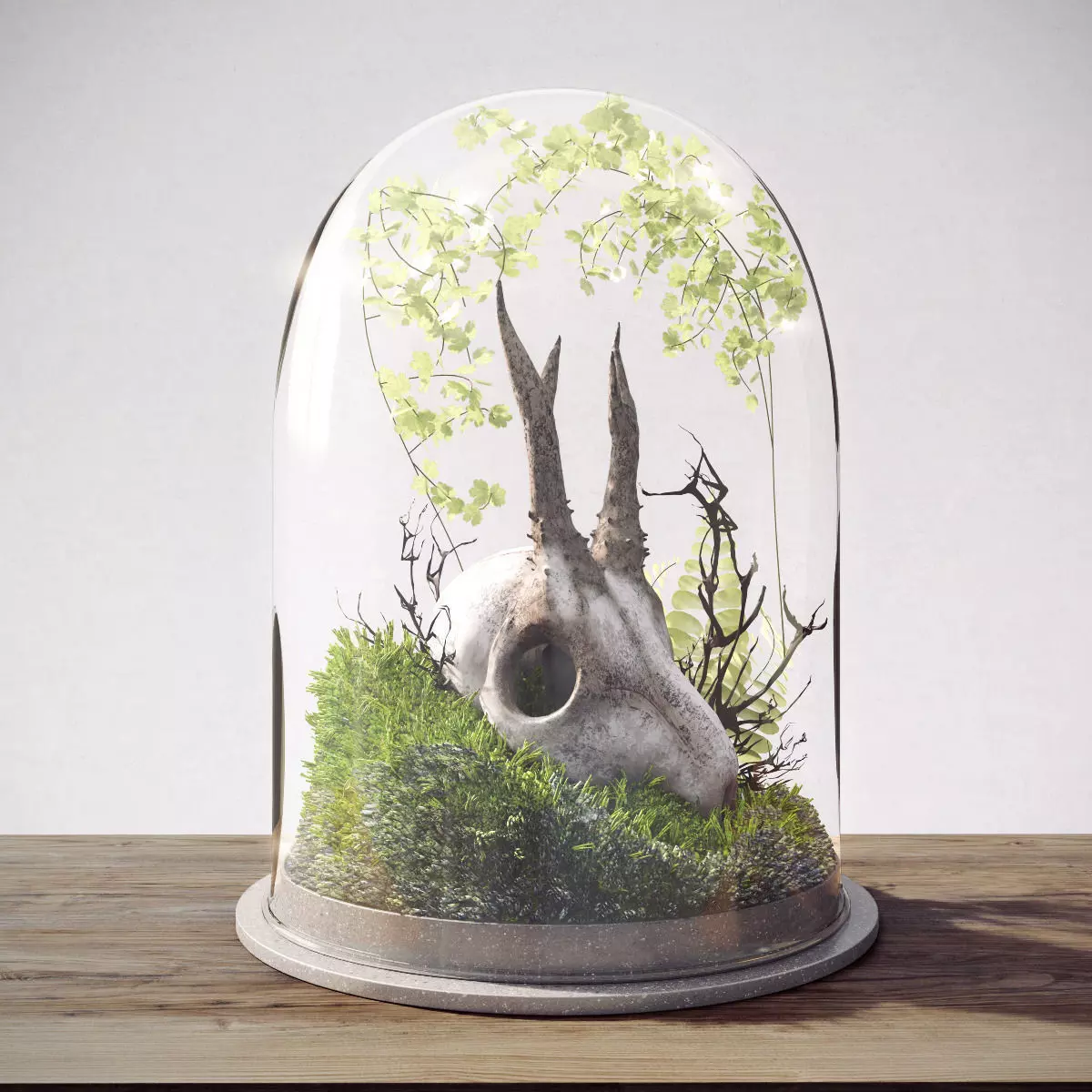 Skull in Flask 3D model_0