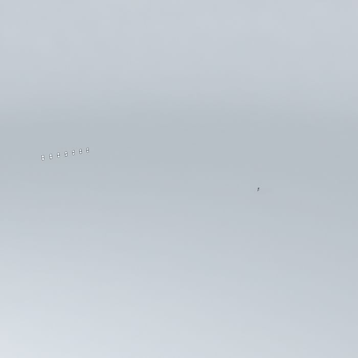 SS Panels Free 3D model_4