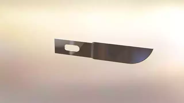 Bull nose blade Free 3D model