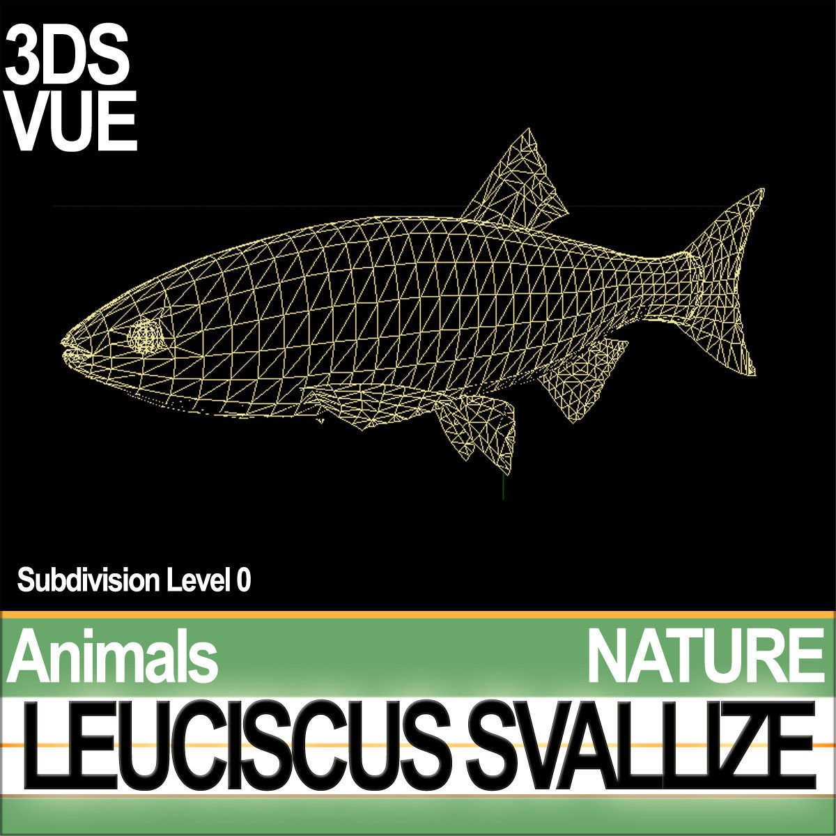 Leuciscus Svallize 3D model_6