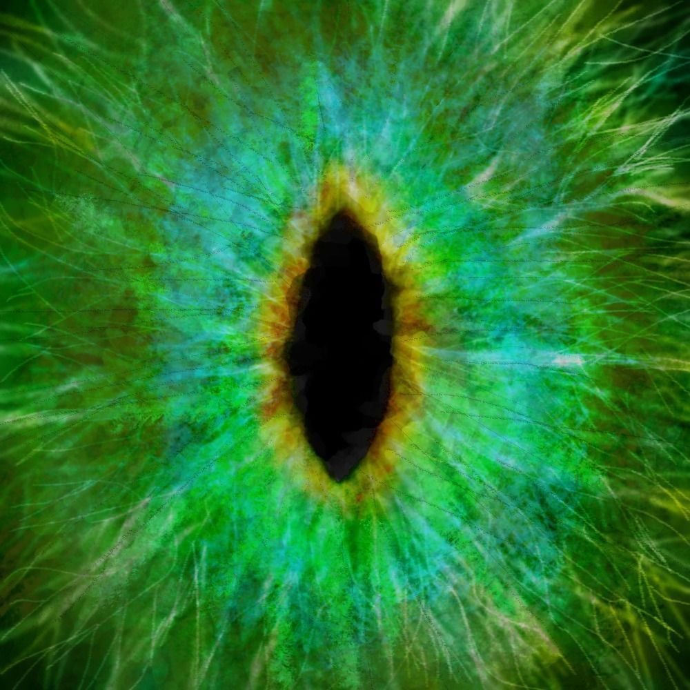 little alien reptile creature RIGGED 3D model_10