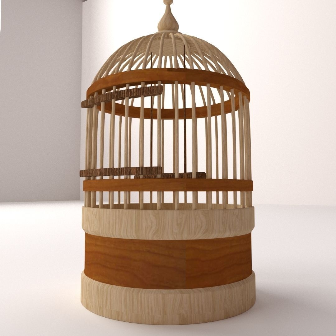 Bird Cage 3D model_2